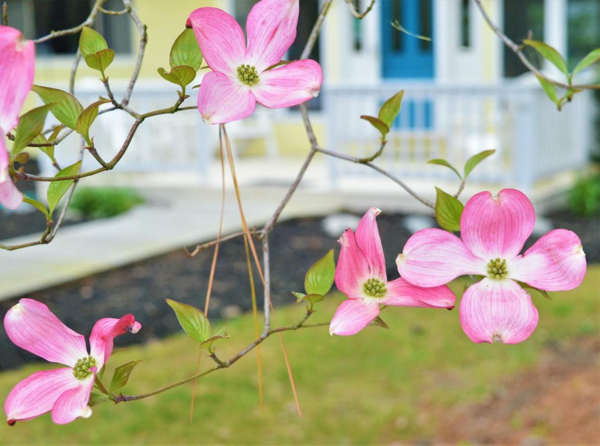Meris Gardens B&B Bethany Beach Eksteriør bilde